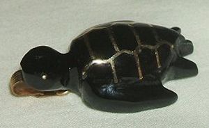 Rùa san hô đen